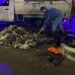 Trabajo preventivo del Ayuntamiento de Hermosillo permitió mitigar daños por lluvias