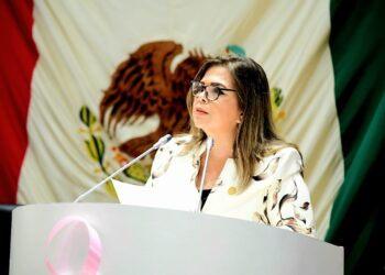 La diputada Ana Gabriela Tapia Fonllem presentó un posicionamiento relacionado a las cuentas públicas 2024
