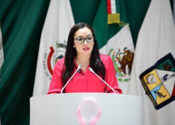 Diputados del PRI exigen rendición de cuentas y transparencia total en el manejo de los recursos públicos