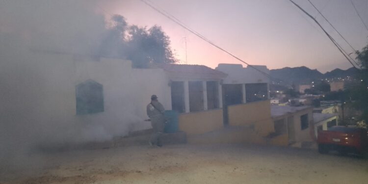 Campaña intensiva de Fumigación