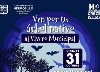 Invita Vivero Municipal a participar en la donación de árboles nativos en horario especial este viernes 31