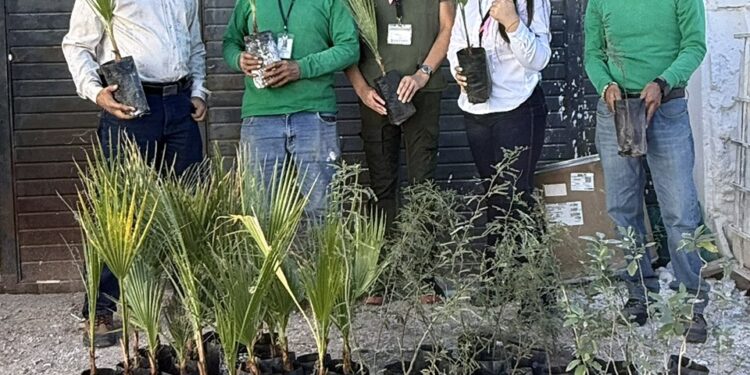 OLDAP Impulsa la sostenibilidad: participa en la semana de salud, seguridad y medio ambiente con donación de árboles