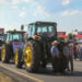 Agricultores exigen $7,200 por tonelada de maíz