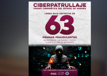 Logra Gobierno de Sonora baja definitiva de 63 páginas fraudulentas