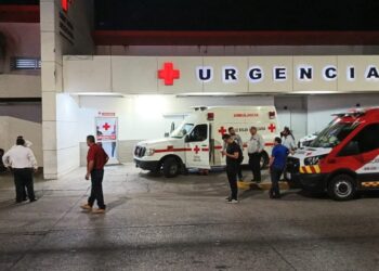 ENCUENTRAN A GEMELAS DE TRES AÑOS AHOGADAS EN UNA ALBERCA…