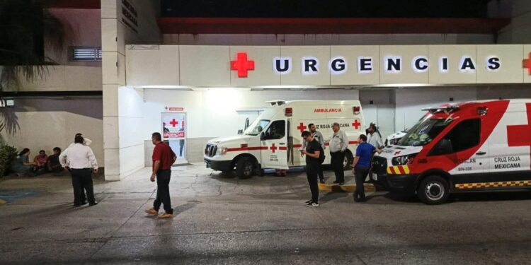 ENCUENTRAN A GEMELAS DE TRES AÑOS AHOGADAS EN UNA ALBERCA…