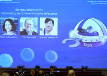 El Nobel de Medicina, a investigadores sobre el control del sistema inmunitario
