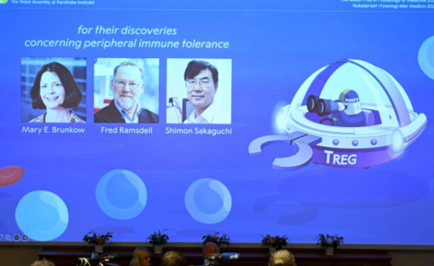 El Nobel de Medicina, a investigadores sobre el control del sistema inmunitario