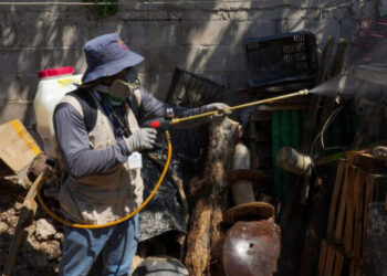Atienden proliferación de mosco portador del dengue en el estado