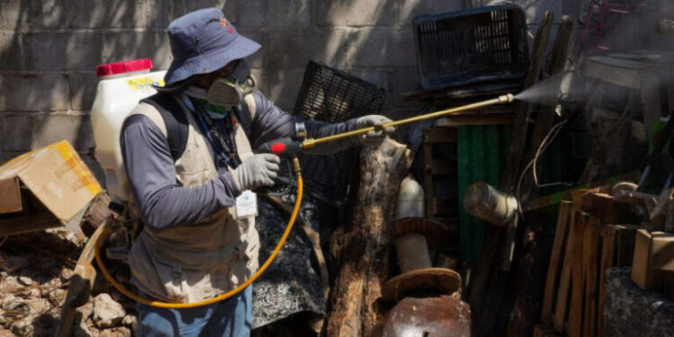 Atienden proliferación de mosco portador del dengue en el estado