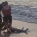 Aparece sin vida el cuerpo de un hombre en la playa de San Carlos.
