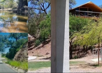 Estampa Verde impulsa en Cananea ambiciosa reforestación en el Cañón de Evans