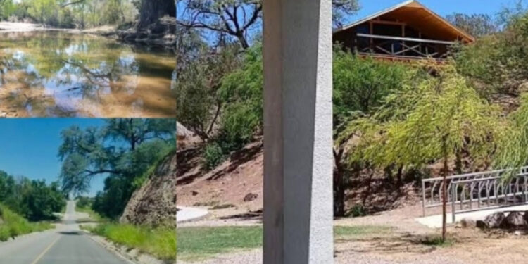 Estampa Verde impulsa en Cananea ambiciosa reforestación en el Cañón de Evans