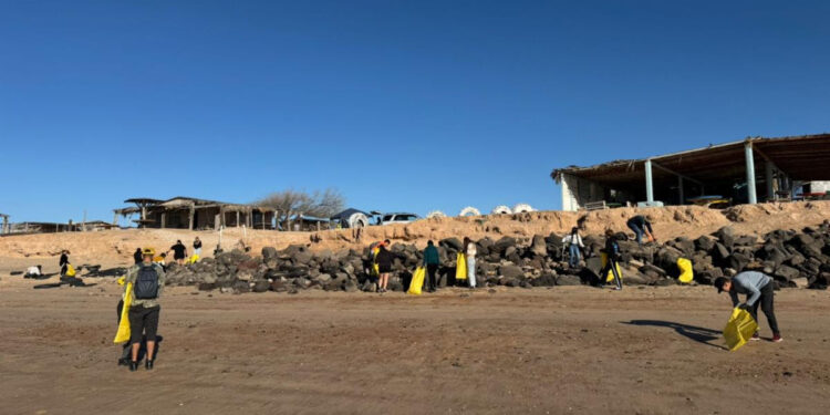 Se suma Gobierno de Sonora a jornada internacional de limpieza de costas: Cobach