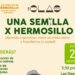 Invita Gobierno de Hermosillo a Taller “Una Semilla X Hermosillo”
