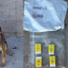 Binomios K-9 de la Policía Estatal localizan sustancia prohibida en paquetería