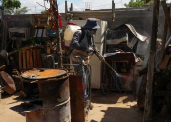 Gobierno de Sonora informa que no se han confirmado defunciones por dengue