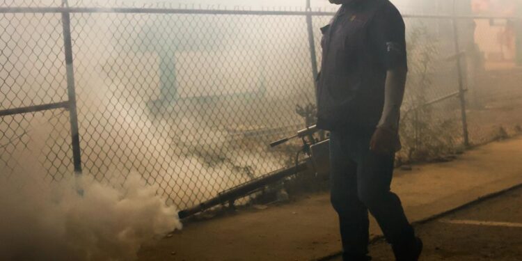 Mantiene Salud Sonora vigilancia y acciones de control del dengue en Sonora