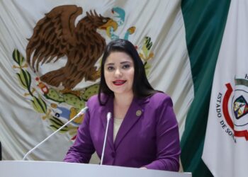 Propone diputada Deni Gastélum Barreras tipificar el delito de acoso sexual en espacios públicos.