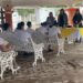 Finalizan jóvenes ITAMA cursos de capacitación para el trabajo impartidos por Icatson