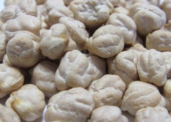 Sagarhpa invita al XIII Simposio Nacional de Garbanzo