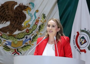 El Congreso de Sonora aprueba iniciativa para reforzar la protección de mujeres embarazadas y personas con discapacidad contra la violencia familiar