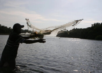 Mil 500 ejidos y comunidades abandonaron labores agrícolas