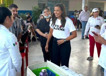LLEGAN LAS PEQUEÑAS GRANDES ACCIONES AL TOBARITO