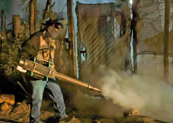 Acumula Sonora dos mil 338 casos de dengue