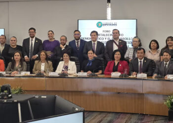 OPLES presentan propuestas a Comisión de Reforma Política Electoral de la Cámara de Diputados