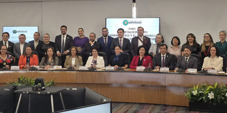 OPLES presentan propuestas a Comisión de Reforma Política Electoral de la Cámara de Diputados
