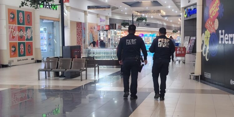 Colabora Policía Estatal con presencia en comercios de Sonora durante el Buen Fin
