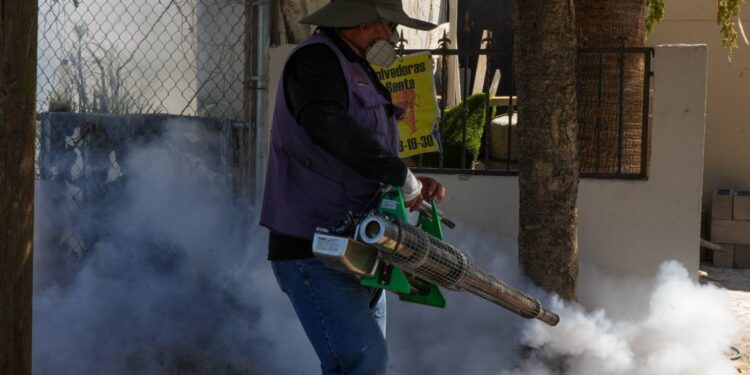 Gobierno de Sonora informa que no se han confirmado defunciones por dengue