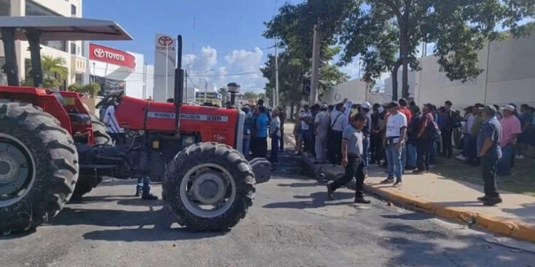 Maiceros de Campeche exigen mercado para vender su cosecha