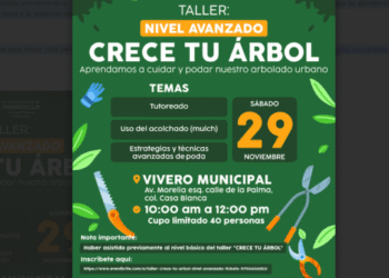 Realizará Gobierno de Hermosillo Taller “Crece Tu Árbol” nivel avanzando este sábado 29