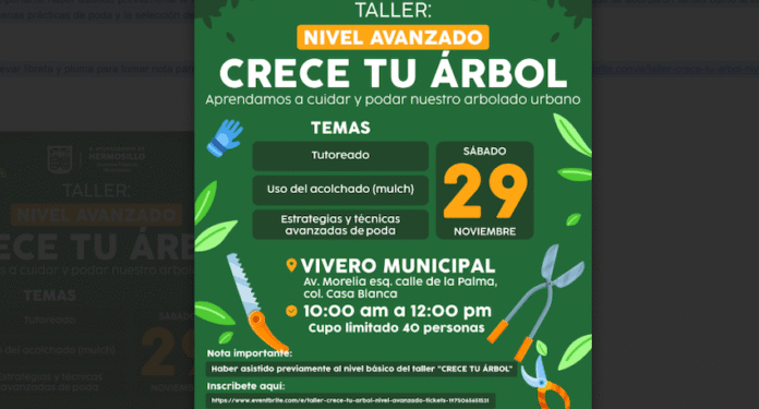 Realizará Gobierno de Hermosillo Taller “Crece Tu Árbol” nivel avanzando este sábado 29