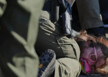 Hay vía legal para hacer que Salinas pague: Sheinbaum