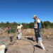 Bosque Urbano La Sauceda concluye la reforestación en el Polígono Sureste “La Oreja”