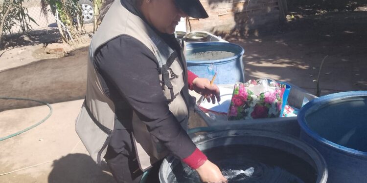 Intensifica Salud Sonora acciones contra dengue en Etchojoa, Guaymas y Empalme