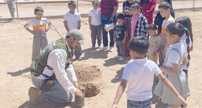 Impulsa Ayuntamiento de Hermosillo más de 160 acciones de educación ambiental y reforestación durante 2025