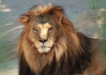 Invitan a disfrutar del Centro Ecológico durante el periodo vacacional