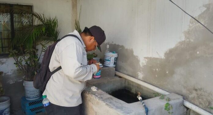Exhorta Secretaría de Salud mantener hogares limpios contra rickettsia y dengue