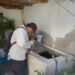 Exhorta Secretaría de Salud mantener hogares limpios contra rickettsia y dengue