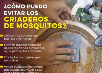 Exhorta Secretaría de Salud a mantener hogares limpios durante fiestas decembrinas para evitar el dengue