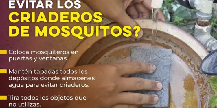 Exhorta Secretaría de Salud a mantener hogares limpios durante fiestas decembrinas para evitar el dengue