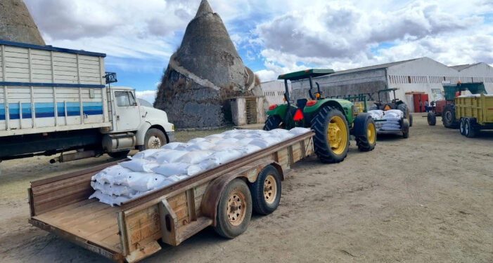 La cosecha de frijol en Zacatecas será de 400 mil toneladas