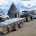 La cosecha de frijol en Zacatecas será de 400 mil toneladas