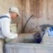 Intensifica Salud Sonora acciones contra dengue en Etchojoa, Guaymas y Empalme