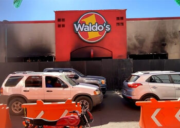 Hacen peritaje en Waldo´s; Elementos de la AMIC