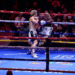 David Picasso, sin hazaña; Naoya Inoue retiene cinturones supergallo